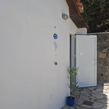 Salt & Sea בית נופש *
